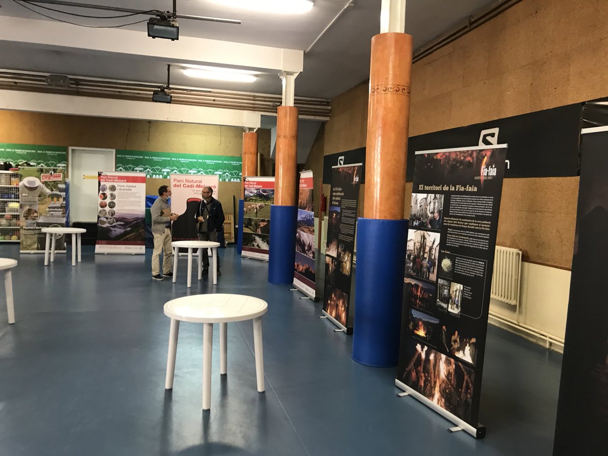 🎗 Associació cultural de fallaires de Sort tweet media