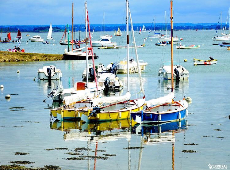 BreizhWeCan's tweet photo. Inspire
Expire
Respire
C'est la minute bretonne 💙
#MagnifiqueBretagne #Sarzeau #Logeo
© @KervoyalD https://t.co/jRFpx4Vxnw