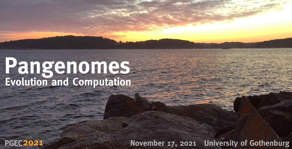 MΛRCOS COLEBROOK (@mcolebrook) on Twitter photo I've just registered for #FREE for virtual attendance of "#Pangenomes: Evolution and #Computation" #PGEC2021 Nov 17, 9:00-17:30 CET
pgec2021.schlieplab.org
> <a href="/adCalzadilla/">Adrián Calzadilla</a> <a href="/adrmunozb/">Adrián MB</a> <a href="/thedvke/">Héctor (dvke)</a> <a href="/joluroga/">José Luis Roda</a> <a href="/cpgonzal/">Carlos Pérez-González</a> <a href="/LabCflores/">CFlores-Lab</a> @resocios #Genomics #Bioinformatics #Bioinformática I've just registered for #FREE for virtual attendance of "#Pangenomes: Evolution and #Computation" #PGEC2021 Nov 17, 9:00-17:30 CET
pgec2021.schlieplab.org
> <a href="/adCalzadilla/">Adrián Calzadilla</a> <a href="/adrmunozb/">Adrián MB</a> <a href="/thedvke/">Héctor (dvke)</a> <a href="/joluroga/">José Luis Roda</a> <a href="/cpgonzal/">Carlos Pérez-González</a> <a href="/LabCflores/">CFlores-Lab</a> @resocios #Genomics #Bioinformatics #Bioinformática