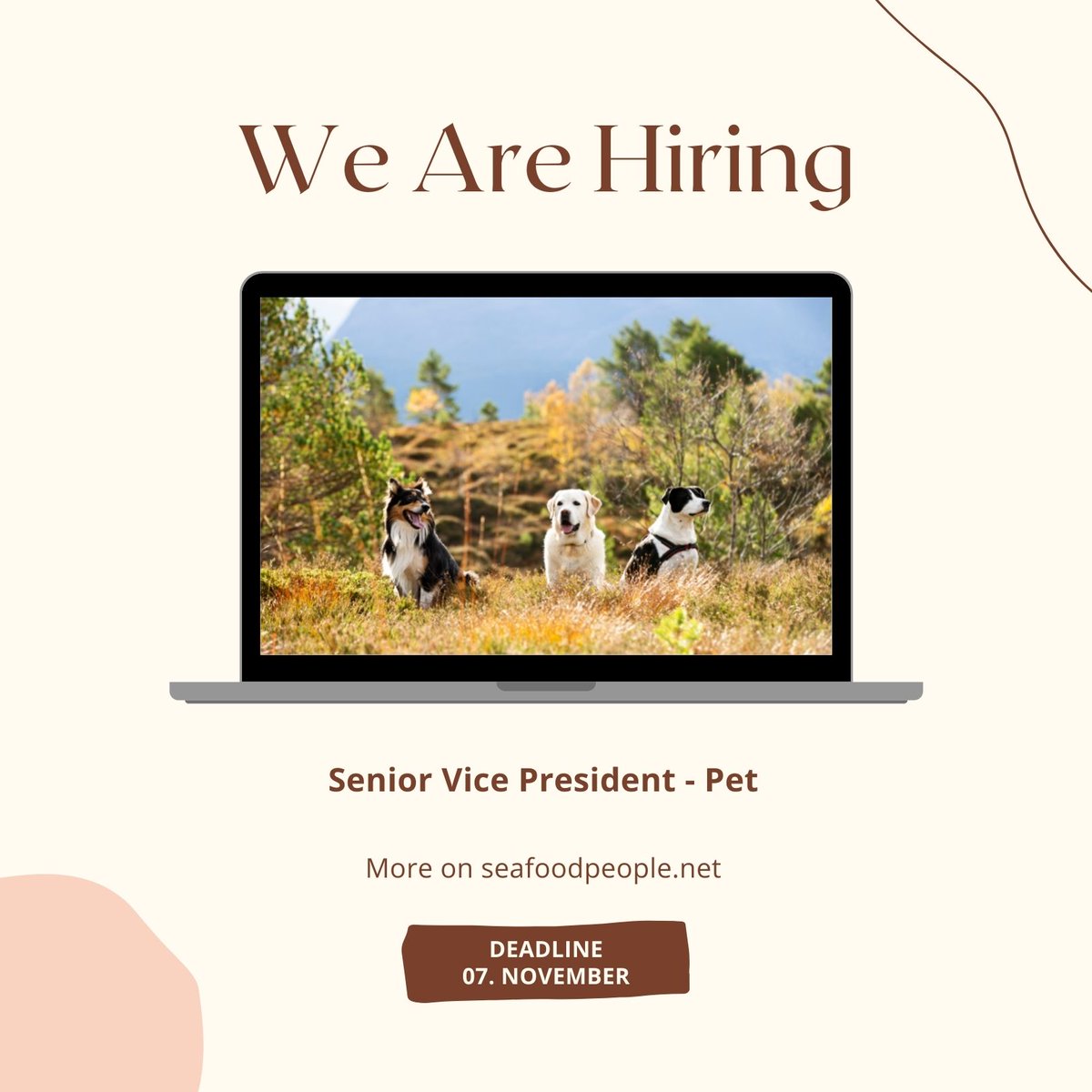 We`re hiring! Rimfrost is seeking Senior VP for the Pet Food market - more info, use the link seafoodpeople.recman.no/job.php?job_id…     #pet #petfood #krill