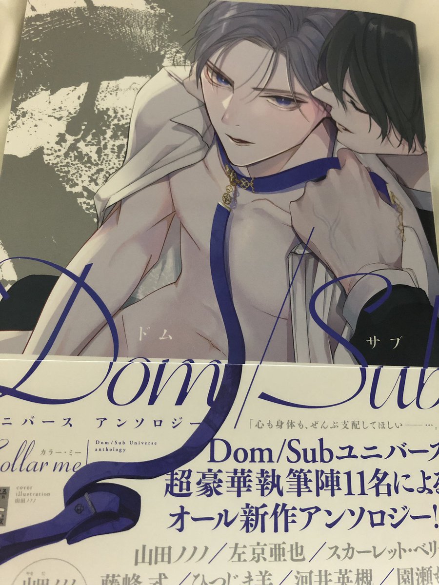 Dom/Subアンソロジーの見本いただきましたー!私の漫画はショートストーリーですが楽しく描いたので見てもらえたら嬉しいです。表紙が美しい〜😍 