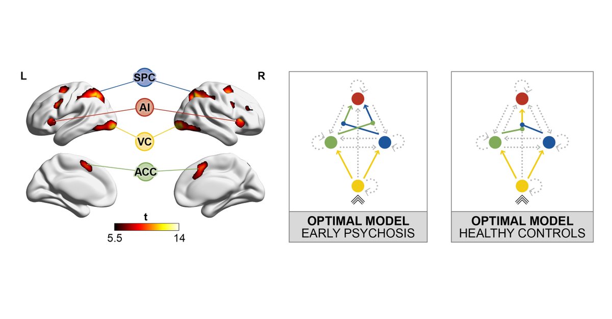 My first tweet, my first PhD paper, published in @Transl_Psych! rdcu.be/cAhT7 Sub-optimal neuronal gain linked to subtle cognitive deficits in early psychosis. Thanks to @DrBreaky @LucaCocchi78 James G Scott, @QIMRBerghofer @MetroNorthHHS