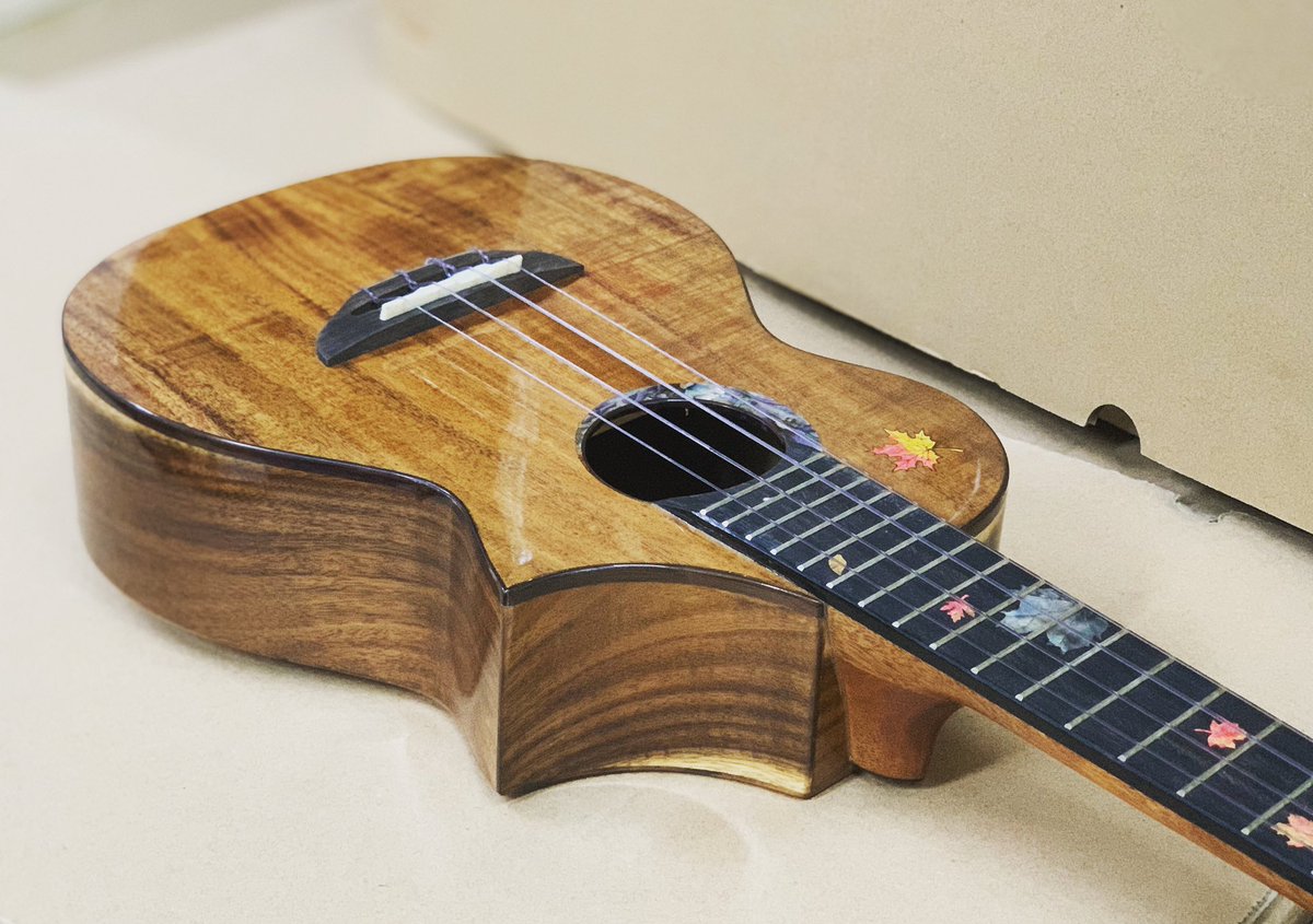mrmaiukulele's tweet photo. 🍁 MC60 #concertukulele #ukuleleonline #ukuleleshop #ukulelestore #Allsolidkoa #Mrmaiukulele #ukulele #ukuleletutorial #ukulelelessons #ukulelecover #ukuleles #ukulelelove
#ukuleleplayer #ukulelelife #ukulelesongs #ukuleletime
#ukulelelover #Ukulélé #우쿨렐레 #ウクレレ
#music https://t.co/vNdoXuq1PO