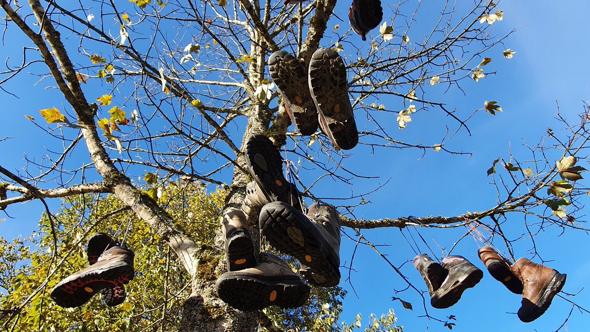 IkaKarl's tweet photo. creaking old age -
I, too, peg out my shoes
for posterity
#haiku #haiga #photohaiku #fallhaiku #micropoetry
#hinterstoder #poppengutmoments https://t.co/F1IS6yTHhh