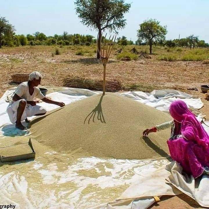 सरकार जल्द सहकारी समितियों में डीएपी खाद उपलब्ध कराए अन्यथा किसान अपने अपने शहरो को जाम करने पर मजबूर होंगे।