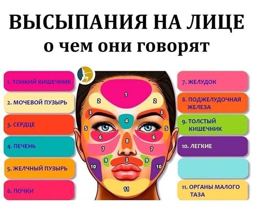 прыщи на лице проблемы с органами. зоны расположения прыщей на лице. прыщи на лице и органы. прыщи и внутренние органы. прыщи на лице и органы.