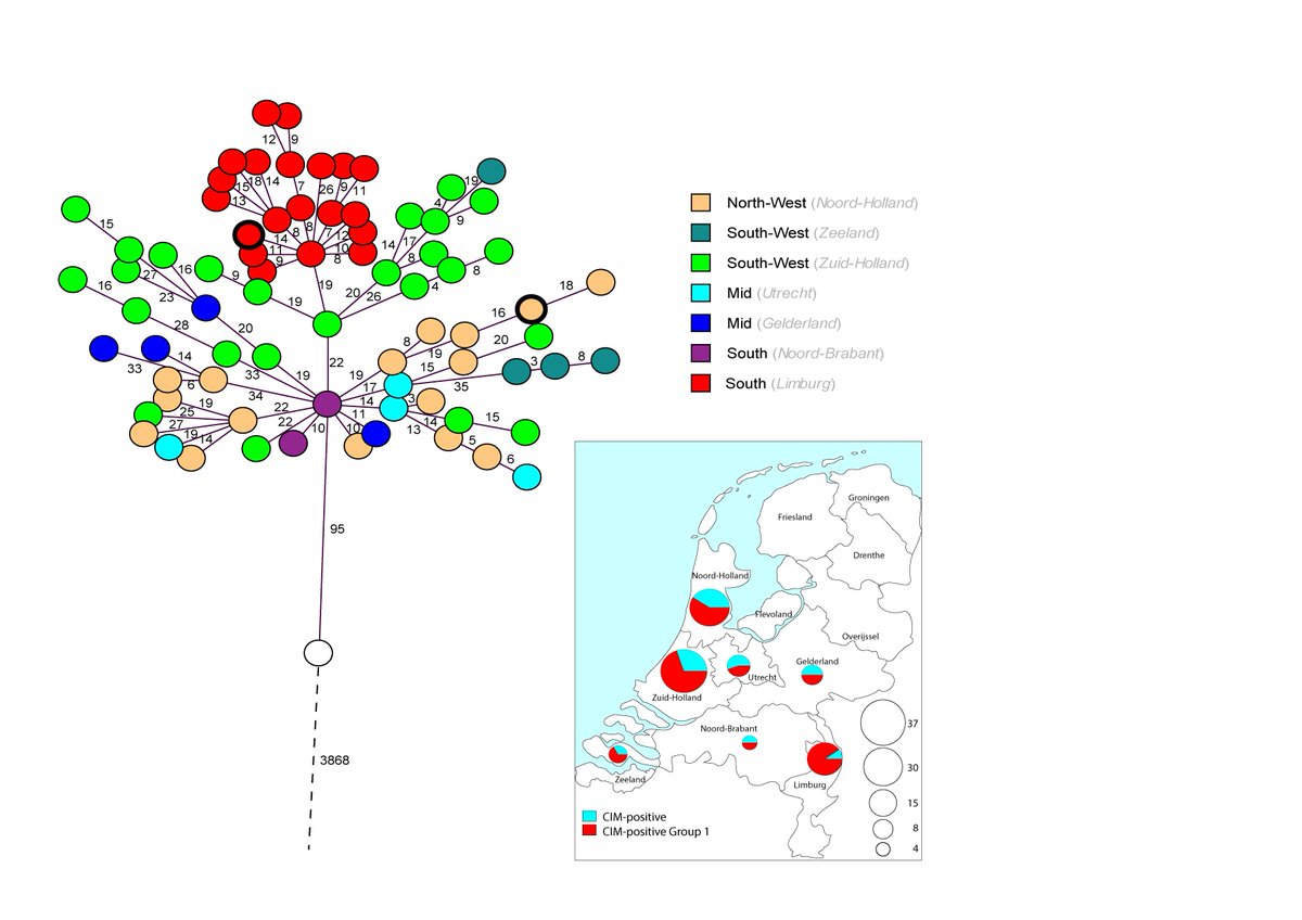 This week, our paper on the #prevalence and clonal spread of #carbapenemase-producing #Pseudomonas #aeruginosa in the Netherlands was published by <a href="/SciReports/">Scientific Reports</a>! A challenging but rewarding collaboration with the <a href="/rivm/">RIVM</a>. =>rdcu.be/cz3pm