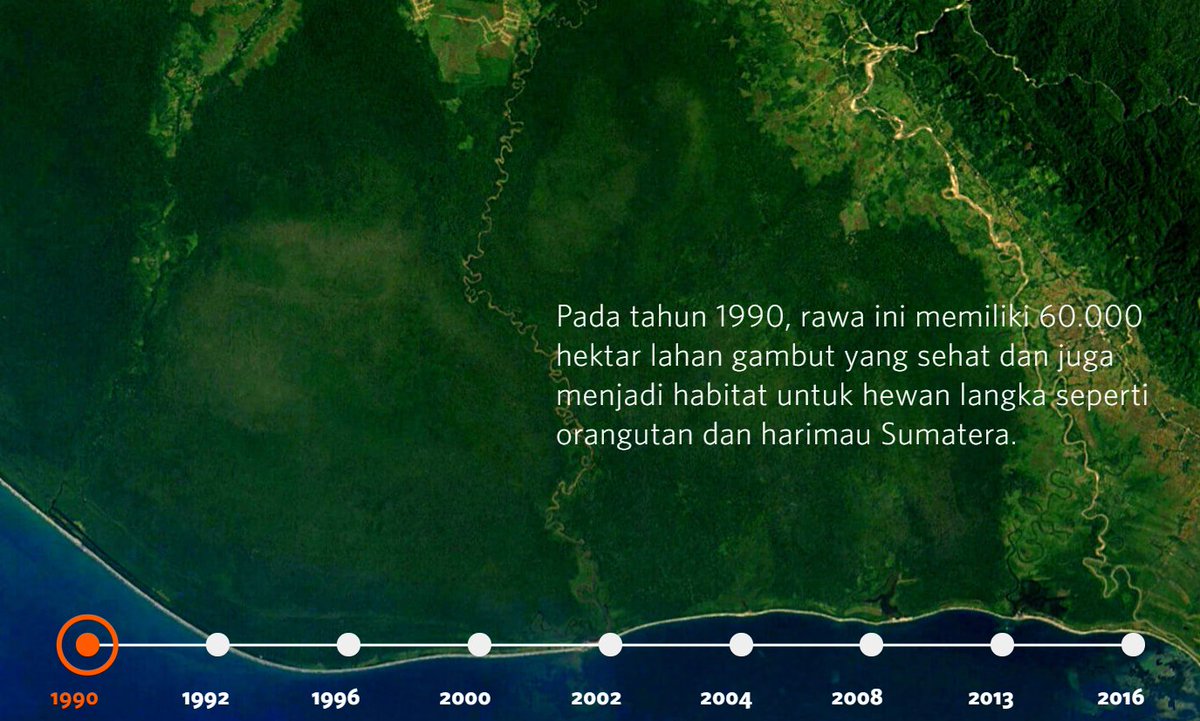 rayestu's tweet photo. Keren jg nih website interaktifnya @PantauGambut ini (https://t.co/XsTfSxveMO)
Asik banget ini bisa liat contoh2 daerah yang di tahun 90an masih full gambut sekarang udah berubah jd macem2
#MudaMudiBumi #untukmubumiku #timeforactionIndonesia
#CreatingTomorrowsPositiveInfluence https://t.co/QzJleGlcmn