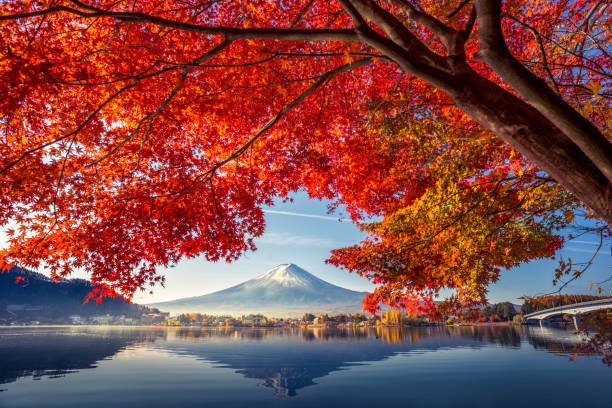 Mount Fuji, located on the island of Honshū, is the highest mountain in Japan, standing 3,776.24 m