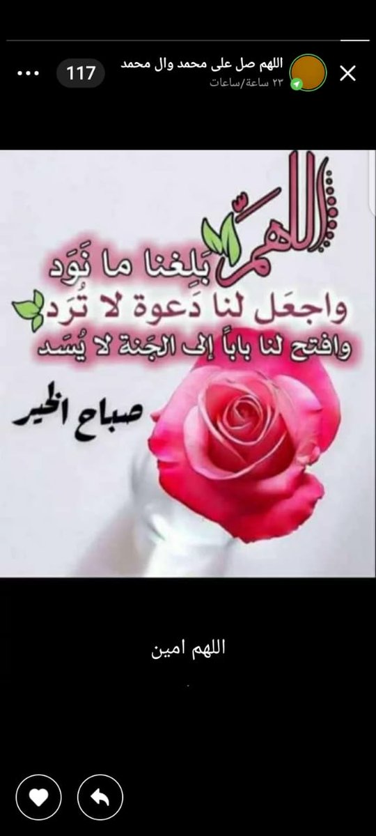 ابوفادي من سوريا الياسمين tweet media