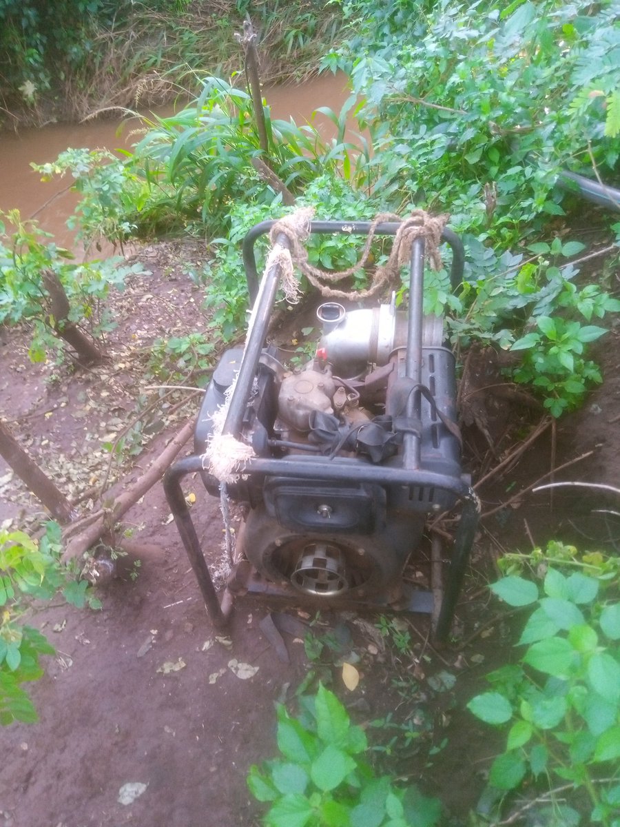 jkwasikye's tweet photo. As #SurahMbaya and #Tiger push you into early retirement, we pledge the loyalty of a faithful friend; we won't dispose you off, beautiful. Dear #KaMama, we immensely love you, and indebted by your service and loyalty😥🙏. Thank you. @farmgatesug https://t.co/GRFFpxZgrB