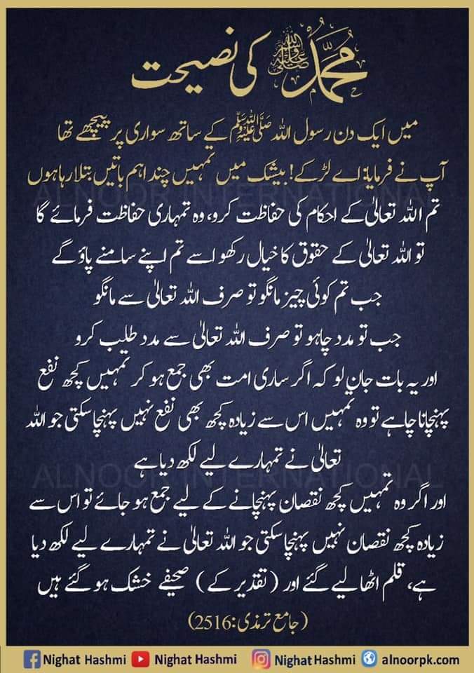 nighathashmi777's tweet photo. #Advice #Follow_Muhammad #Love_Muhammad #Nighat_Hashmi_Fan_Club https://t.co/SFP8VbYV0r