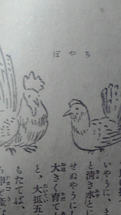 ちゃぼ 