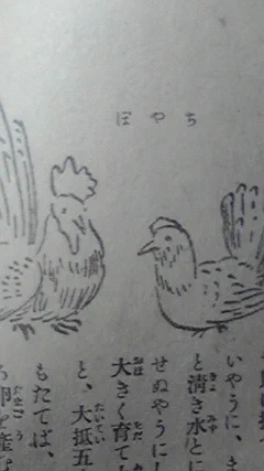 ちゃぼ 