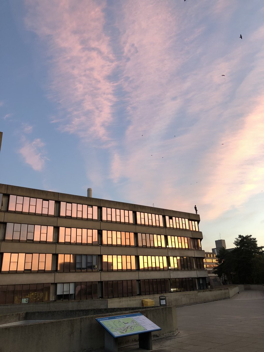 Jabbafish's tweet photo. Sun rises on BIO #biouea #uea https://t.co/JZli2JEeUc