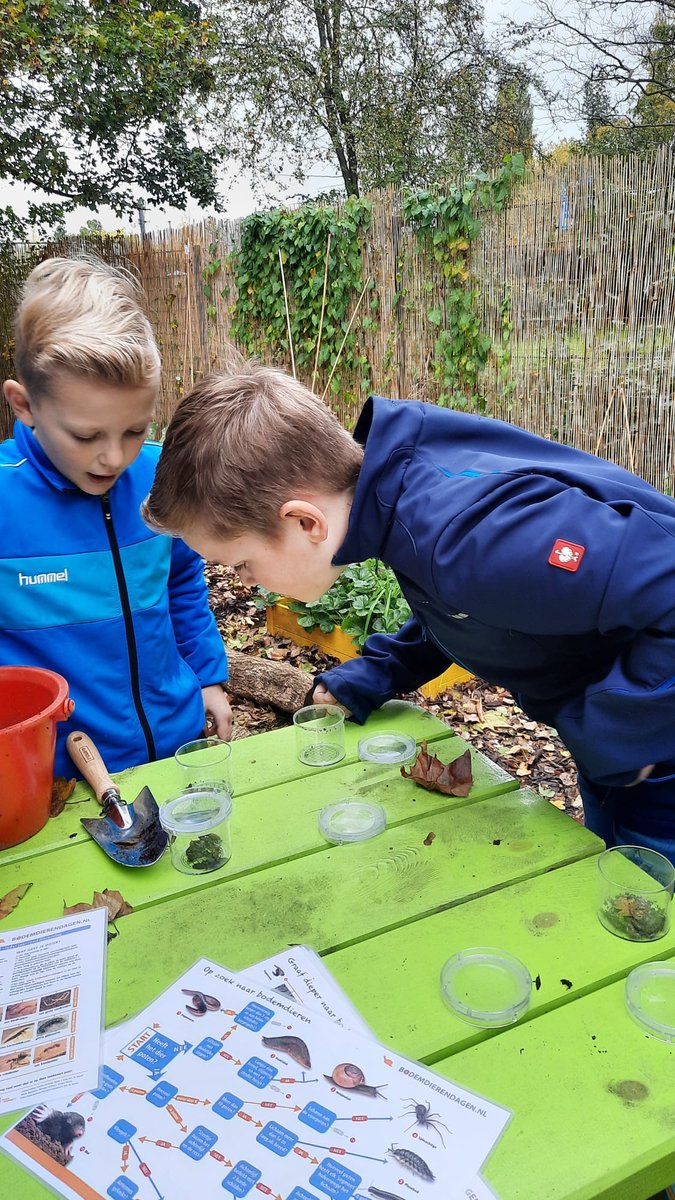 De Maurits-doe-dagen zijn gestart!
De afgelopen tijd konden de kinderen zich opgeven voor verschillende workshops, zoals dans, programmeren, koken, papier-maché, de natuur in en beeldhouwen. Vandaag was het eerste moment dat de kinderen met de workshops aan de slag gingen.