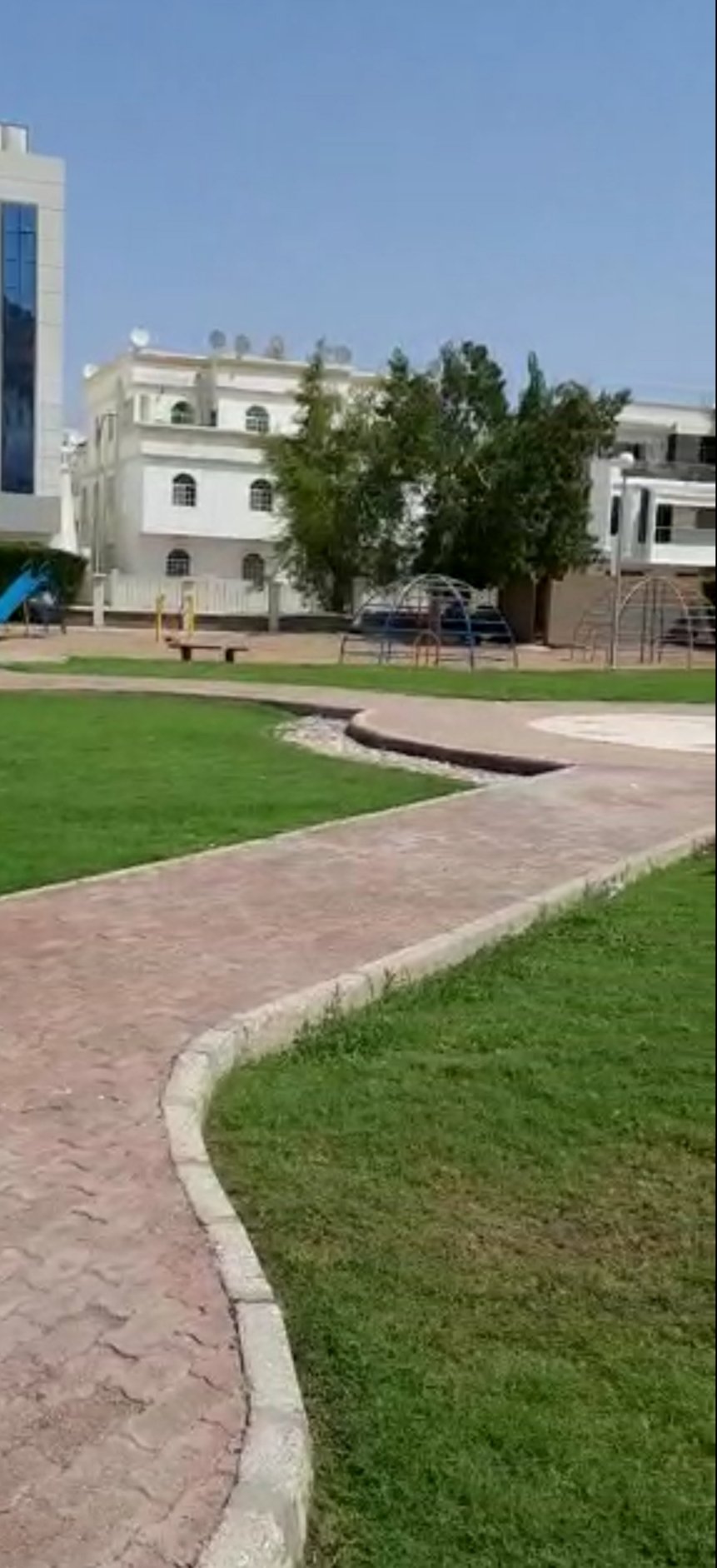 الصورة