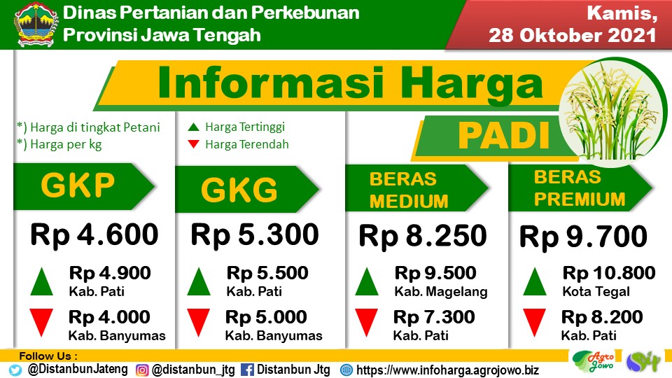 distannakjateng's tweet photo. Berikut kami sampaikan Laporan Rata-rata Sebaran Harga Komoditas Pertanian &amp; Perkebunan di tingkat petani di Jateng, Kamis, 28 Oktober 2021(Thread).

@ganjarpranowo
@susilarjo
@DaniHaroenbr
@mahendra_opik
@provjateng
@Bapeltan_Jtg
@thlpoptjateng
@bbtphbanyumas
#BersatuJagaPangan https://t.co/QGzbJ4BGRh