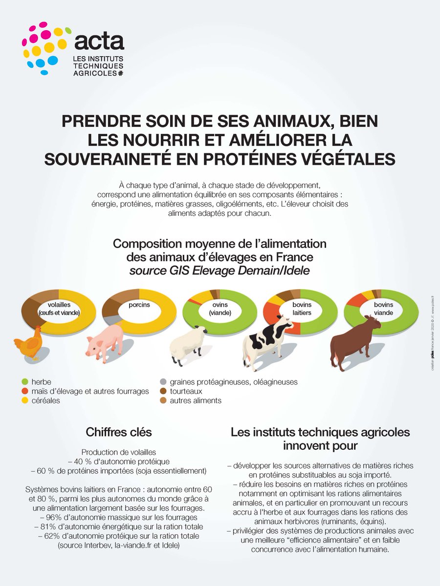 🚨 Que mangent les animaux d'élevage ?

🐓☘️🐖🌽🐑🌾🐄🌿🐂🥕🐇

#ceuxquifontlelait #ceuxquifontlaviande