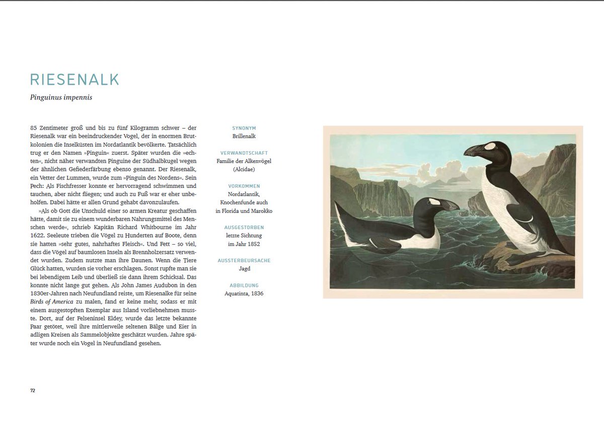 Das Bücherschiff als Arche Noah! Auf den Spuren ausgestorbener Tiere durch unsere Sammlung historischer Drucke - ein gemeinsames Buchprojekt mit <a href="/dumontverlag/">DuMont Buchverlag</a> dumont-buchverlag.de/buch/kegel-aus…