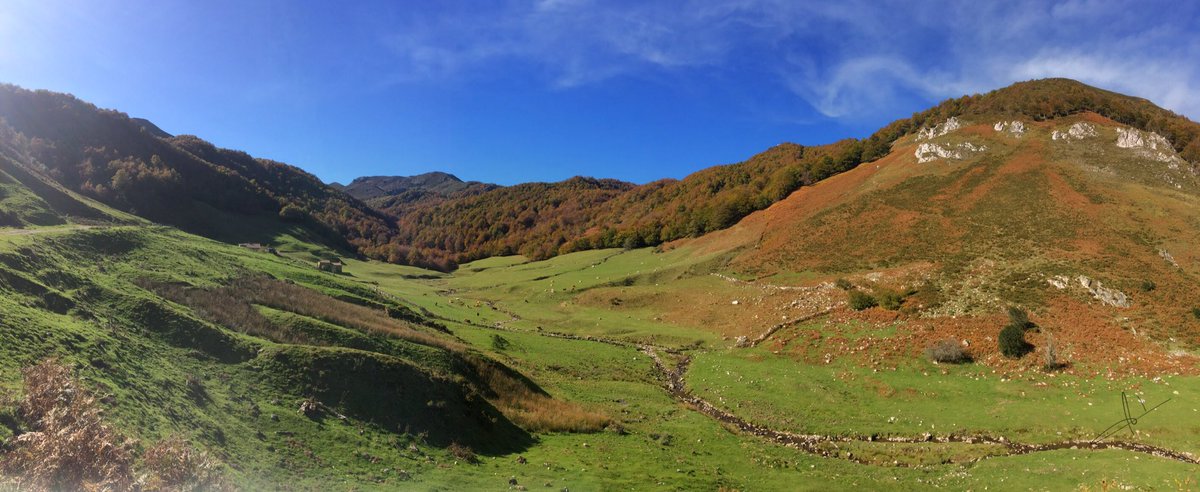 QuintanaPin's tweet photo. La seronda nel #ParqueNaturaldePonga #Asturies #nasturianuprestamás @AEMET_Asturias @eltiempotpa @MeteoAsturias @TurismoAsturias @spain @ALLA_ast @epasturianu @exunta @amorpolallingua @plataforma_gast https://t.co/IxapwvkNf5