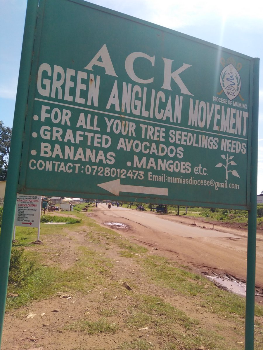 Mitigating climate change through modelling tree planting@ACK Mumias Diocese,green Anglican initiative.
