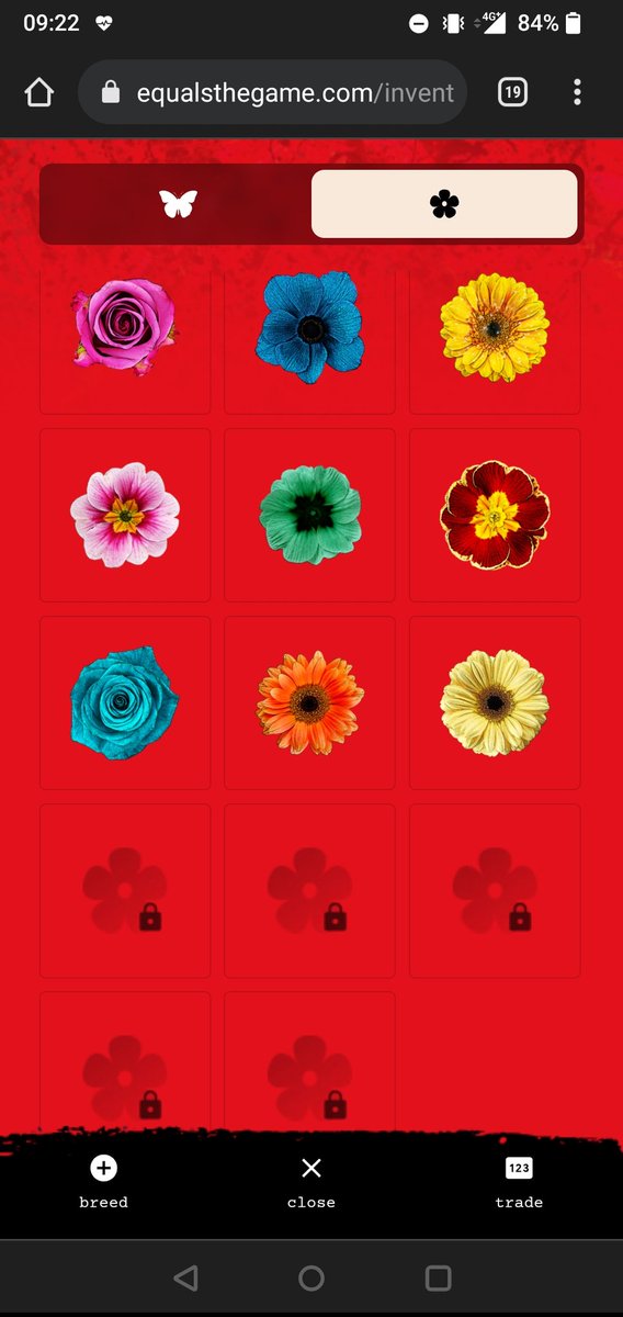 ItsAshleyDuker's tweet photo. @JuRenSc I have these flowers now https://t.co/J1Ks8PRwsx