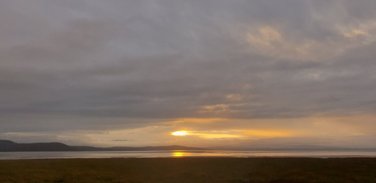 WalkOneStop tweet media