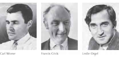CSN_es's tweet photo. 📝La hipótesis denominada #mundoARN, cobró fuerza como la transición hacia las primeras células tal y como expusieron, en los años 60 y de forma independiente, tres científicos: Carl Woese, Francis Crick and Leslie Orgel.

📄https://t.co/TEVHvf23Gg https://t.co/tSsEMeb635