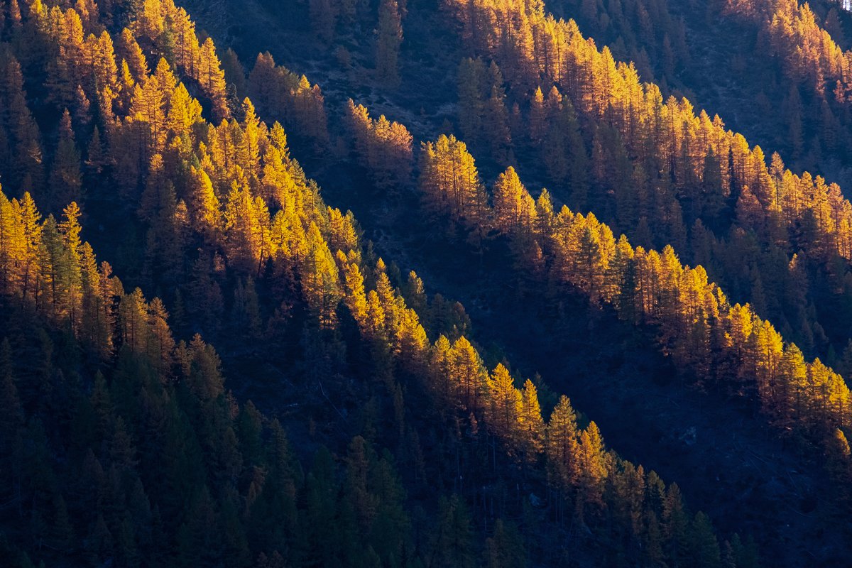 CANDLES

#Lärchengold #Herbstfarben #Lötschental #ItsAllAboutTheLight