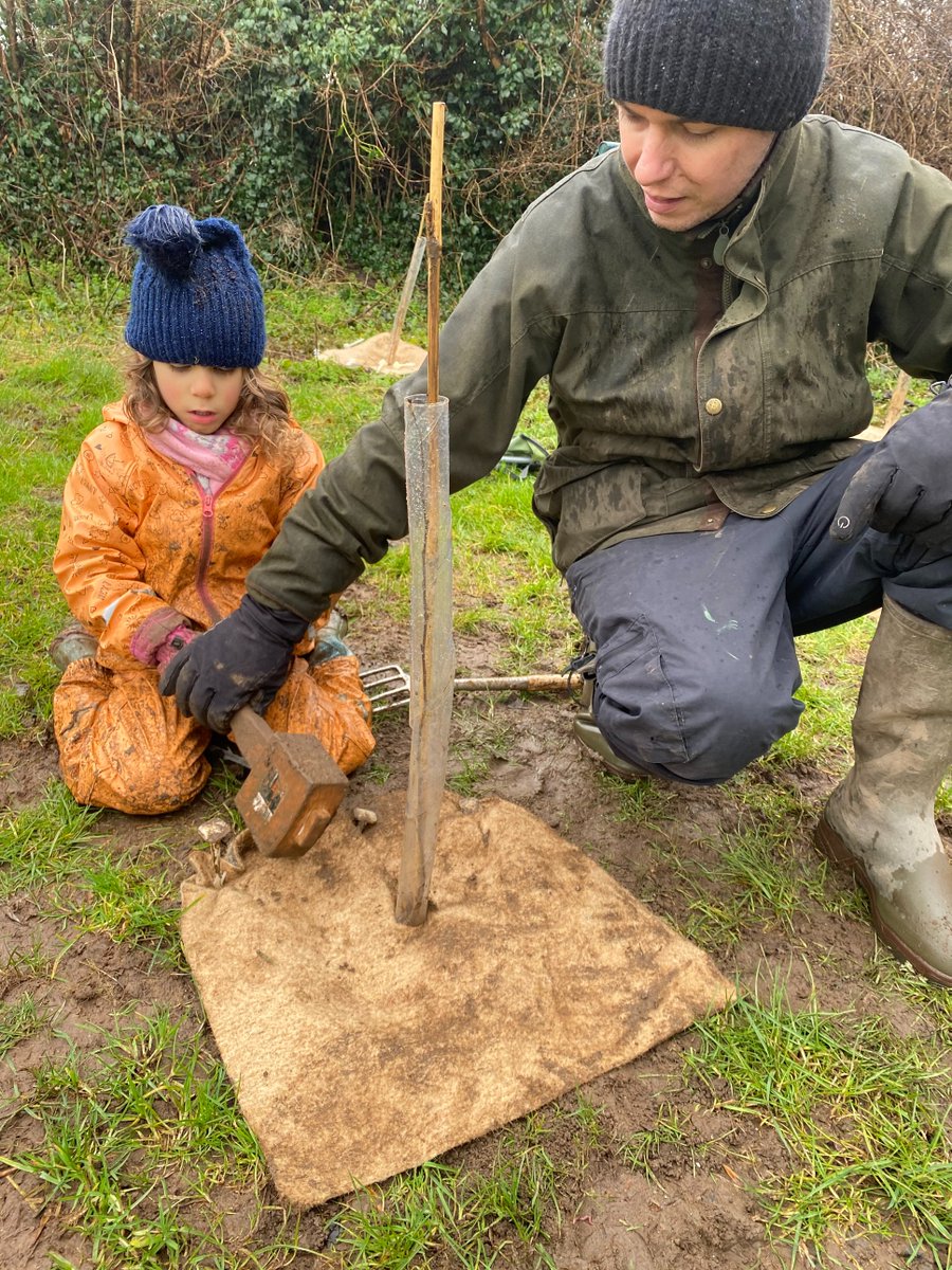 Our fantastic new volunteer coordinator Wendy is busy planning our pre-Christmas planting days this week. If you've signed up to volunteer with us lookout for your invite soon!