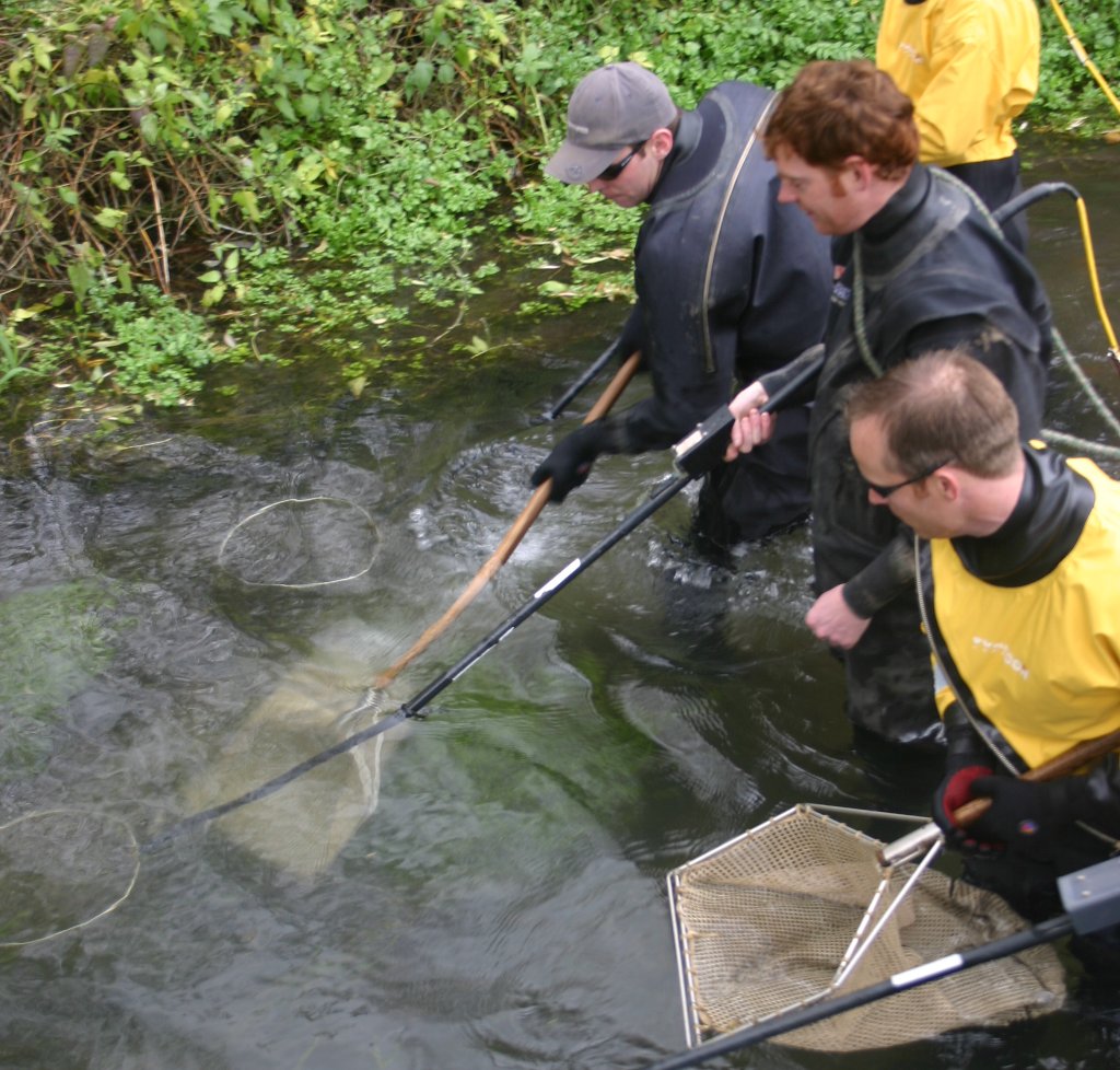 OxfordFAS's tweet photo. Our electrofishing & environmental DNA (eDNA) surveys have found a wide variety of course #fish living in existing steams including, #roach, #chub, #perch, #bleak, #CommonBream, #SilverBream, #Pike & #Tench.
https://t.co/uDlaGQxNgb https://t.co/YhQCaAeOm1