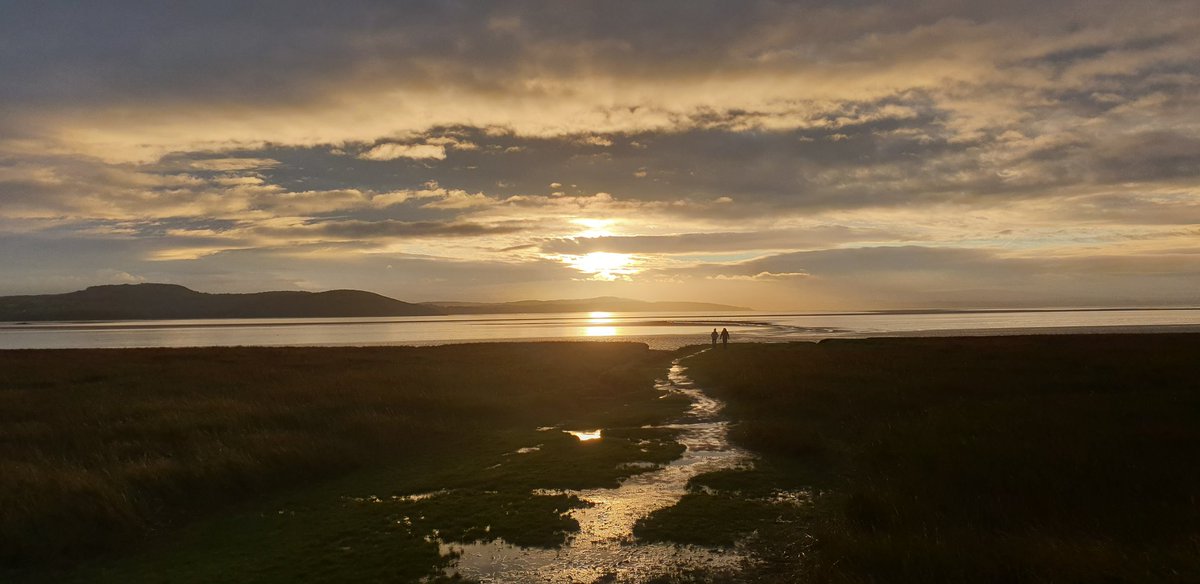 Beth Pipe tweet media