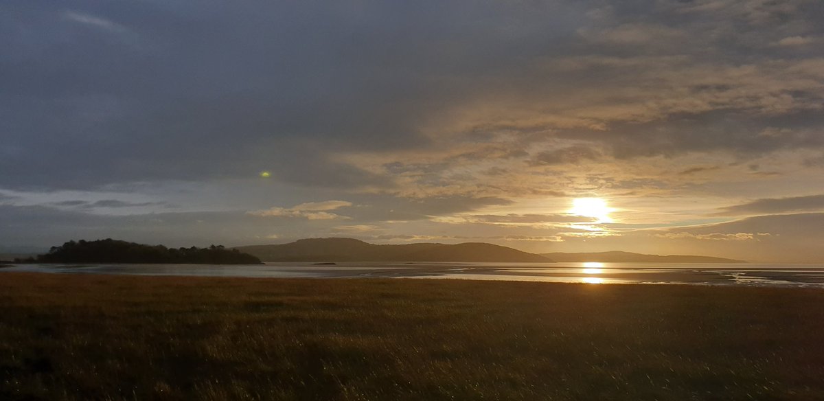 Beth Pipe tweet media