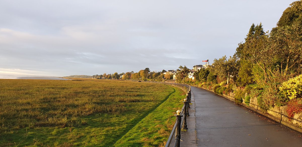 Beth Pipe tweet media