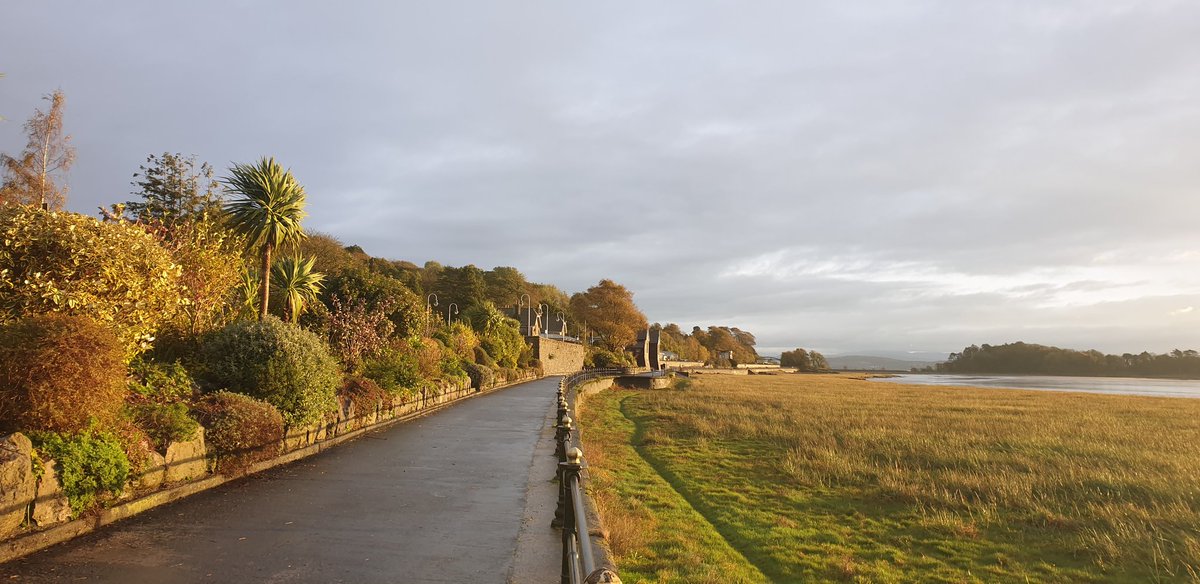 Beth Pipe tweet media