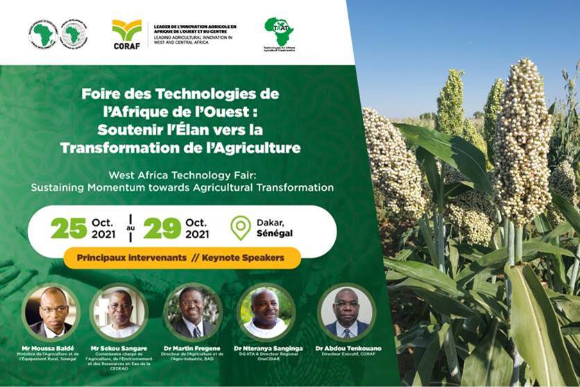 Taat_Africa's tweet photo. “The overall goal of TAAT is to improve agriculture as a business across Africa by deploying productivity-increasing technologies at scale” - @InnocentMus Head @TAAT_Africa Clearinghouse @CORAFNews #WATEF @AfDB_Group https://t.co/keImgffRHK
