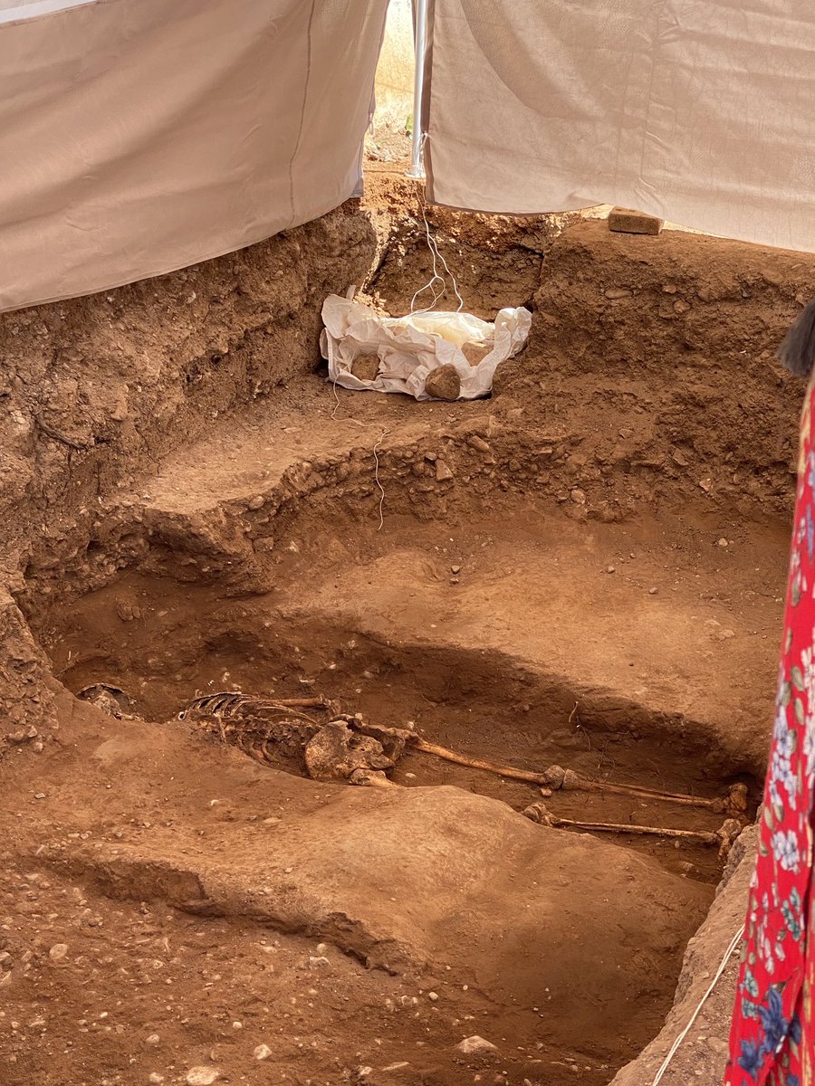 Checkout tweet media