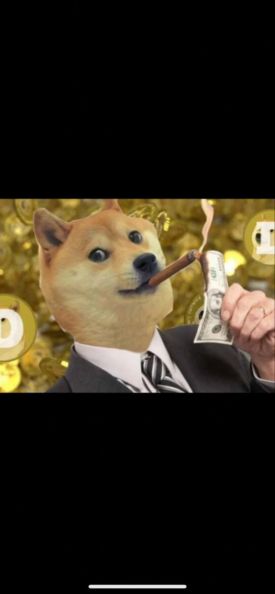 #doge #bitcoin the owner of the shop is back <a href="/elonmusk/">Elon Musk</a>