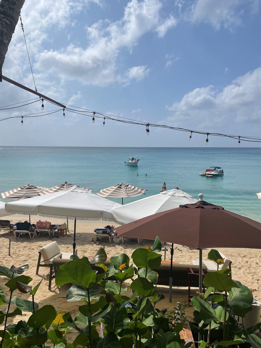 manairport's tweet photo. For all the foodies out there, you must visit Sea Shed for lunch 🐟

A cool beach club vibe awaits with a tantalising menu 😍 #SaltLife #SeaToSlate >> https://t.co/ikyzWg07N8

#LetsFly #MANBGI #LoveBarbados #VisitBarbados @AerLingus @Barbados https://t.co/6hS7DcEpJ9
