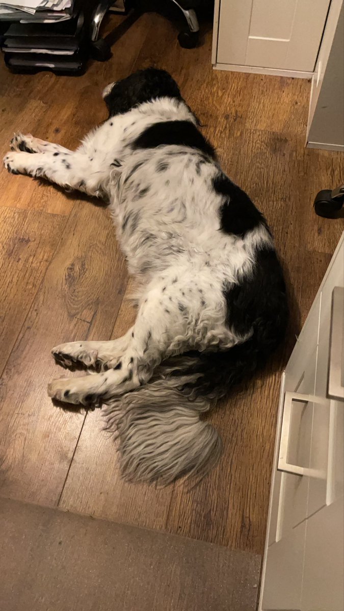 Morning everyone - not been on for a while due to family stuff, just checking in and hoping everyone’s alright x