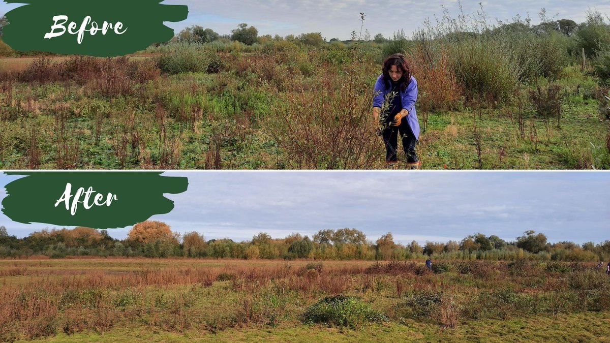 TheParksTrust's tweet photo. Thank you to our Youth Rangers for their hard work at October’s session 👏🏻

They cleared willow in front of the Farm Hide at #FloodplainForest which has made it easier for visitors to spot the fantastic wildlife on site 🌳

Learn more about Youth Rangers⬇️
https://t.co/QeWVLNSS3Z https://t.co/4SRIsgq1hE