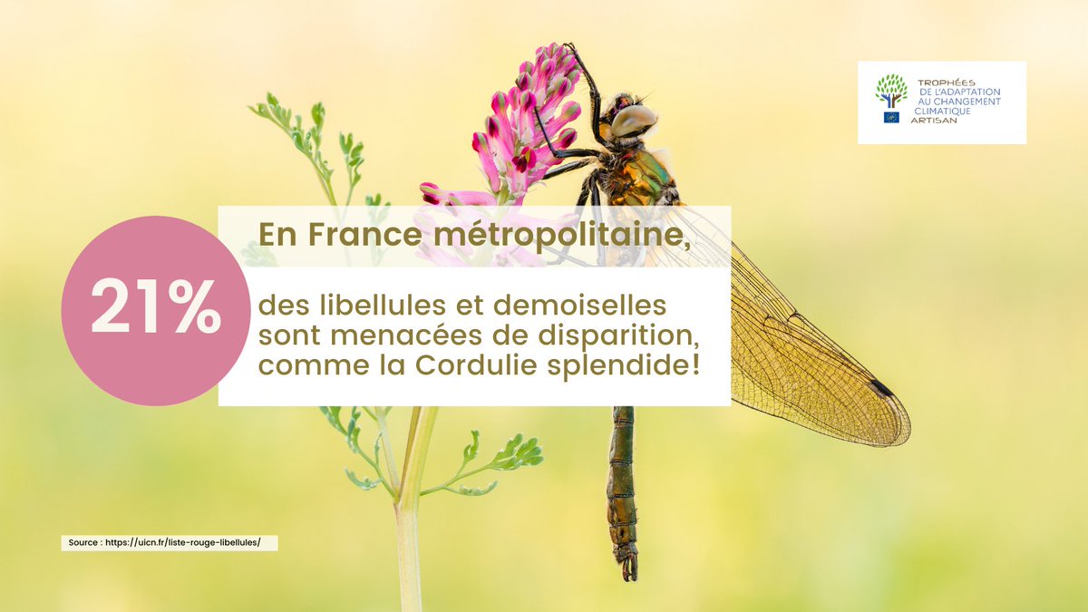 LifeARTISAN_'s tweet photo. Agissez pour préserver la #biodiversité en menant des actions d'adaptation au réchauffement climatique fondées sur la nature #Safn !
👉 Participez aux Trophées #LifeARTISAN : https://t.co/X8IZpVoiqS
#ClimateAction #ClimateEmergency https://t.co/SJvgefmInh