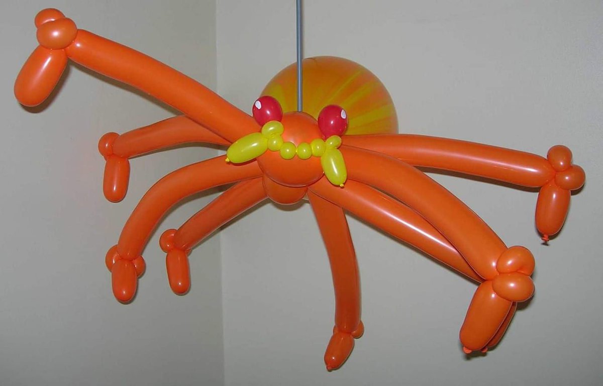 DannyTheIdiot's tweet photo. Are you scared of spiders? Or balloons? Does the combination terrify you?! 🕷️ 🕸️ 🎈 https://t.co/iYd77Oj2TV