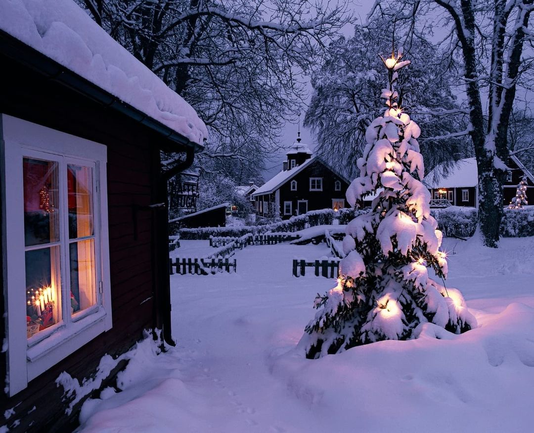 Fotoğrafın içinde olmak istedim..