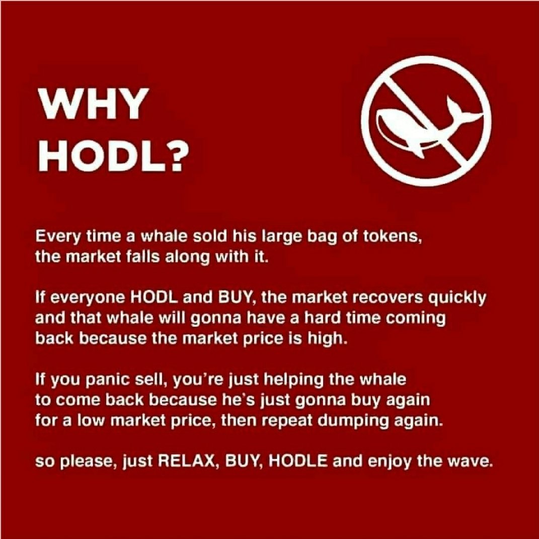 Rajiv99607585's tweet image. Hi admin, please share this 100 times so that people understand the market and hold the shiba coin.. pls do that.. and spread it every group and every shiba twitter. Thanks