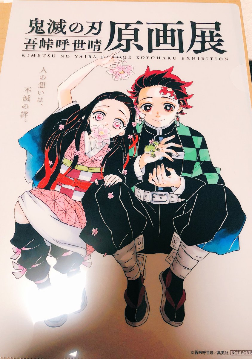 kamado nezuko ,kamado tanjirou 1girl 1boy scar on forehead flower japanese clothes scar on face pink eyes  illustration images