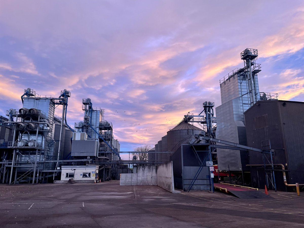 Dramatic Skies this morning #Northumberland #grain #nofilter