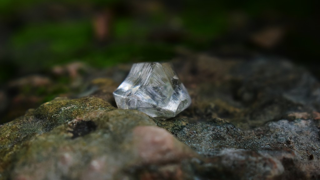 finegrown's tweet image. If you are searching for a diamond with VVS1 clarity, it can cost you more depending on some factors such as carat diamond, shape, cut, and color.

Read more 👉 lttr.ai/n5bq

#ecofriendlydiamond #diamondinfo #finegrowndiamonds #vvs #labgrowndiamond #bestcut