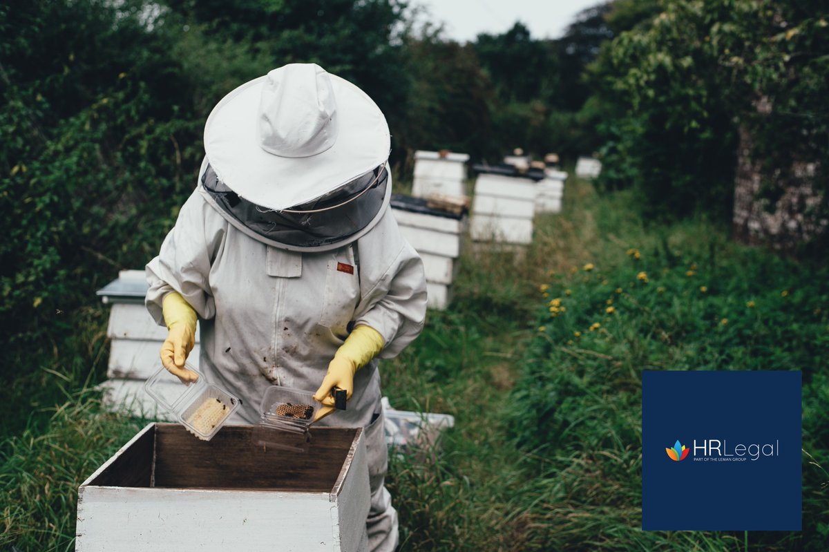 HRLegalIreland's tweet photo. All workers need protection. Lead your team at work – knowing you can depend on safe legal and HR strategies from industry experts.

Visit https://t.co/tG4t1fdwh6 for more information. #hr #legaladvice #leadership https://t.co/rg2VoS9b1z